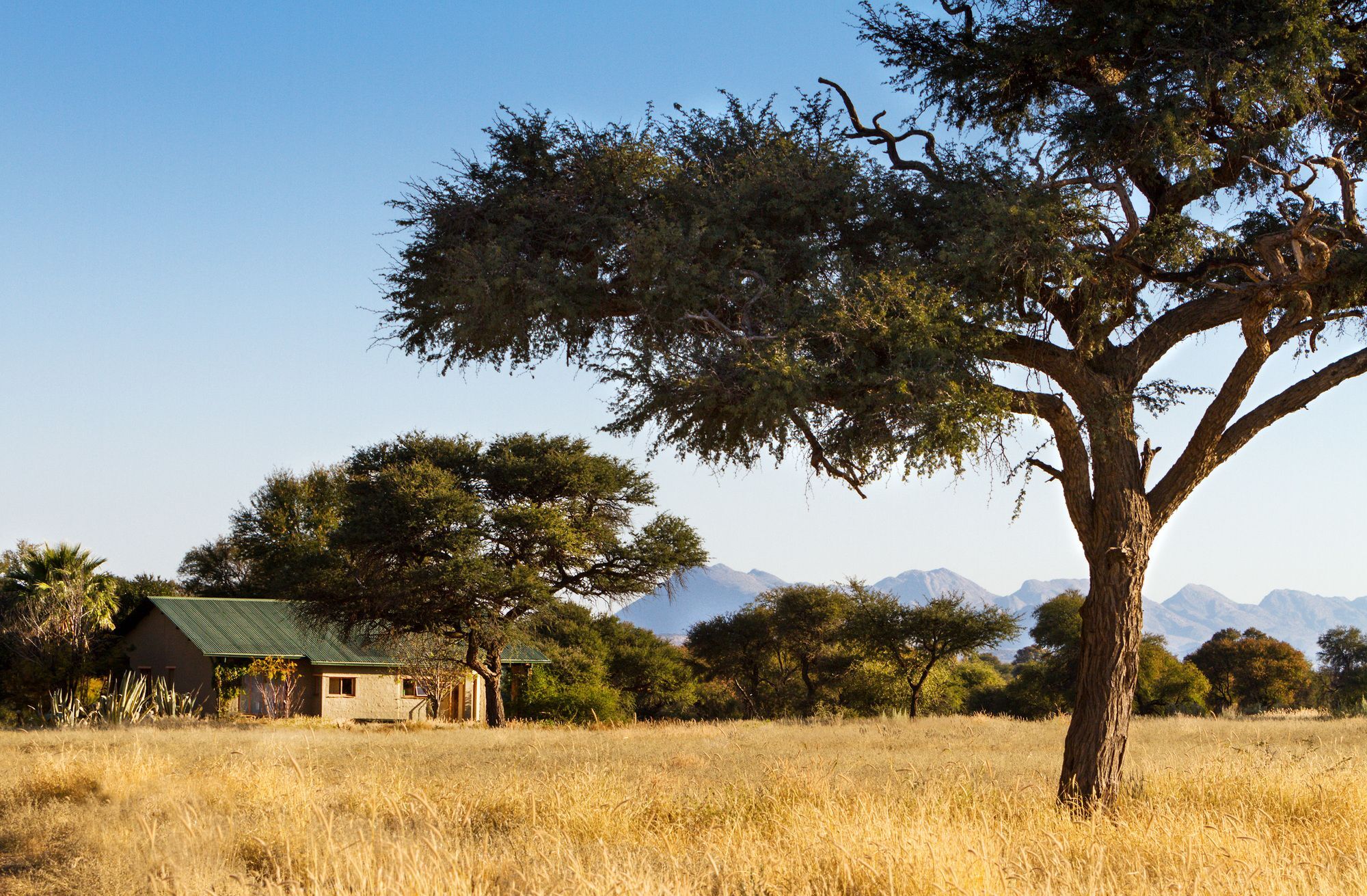 Ondekaremba Lodge Windhoek Exterior photo